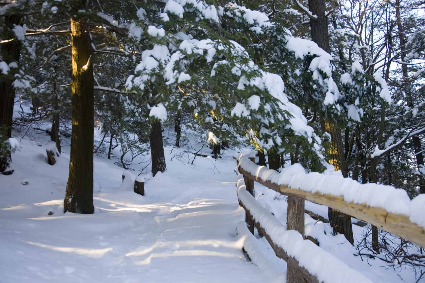 Snowy trail on Mohonk