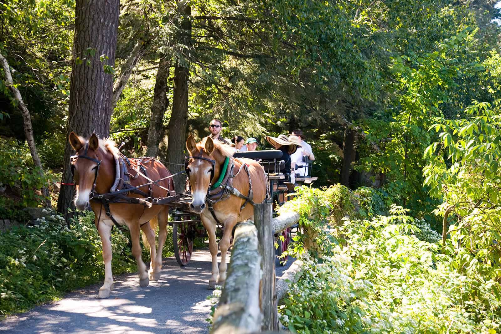 Carriage Rides - Hudson Valley - Mohonk Mountain House