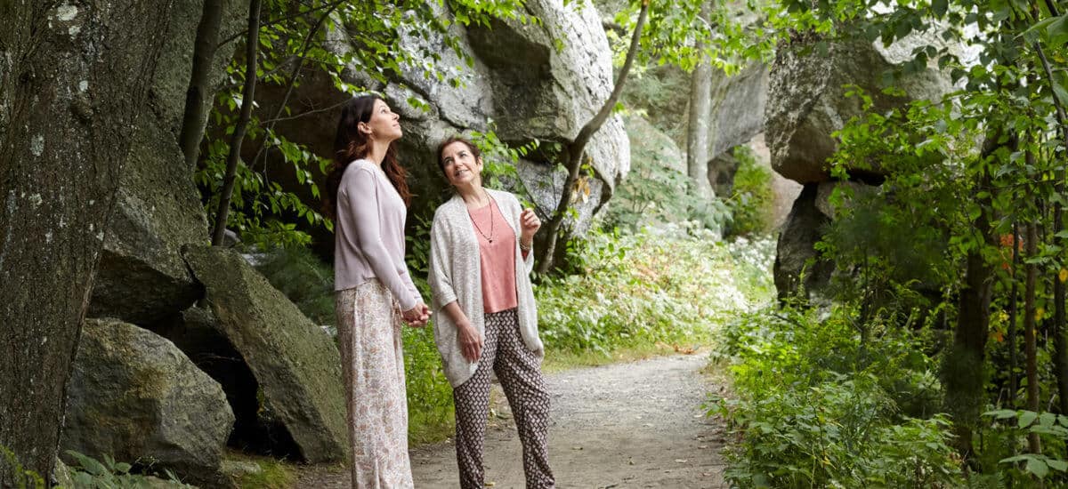 Intro to Forest Bathing: Where Mindfulness Meets Nature